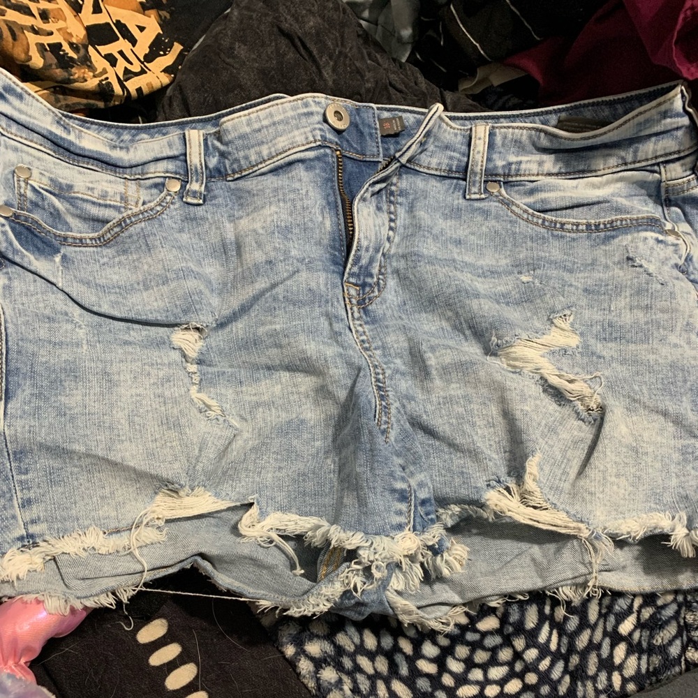 Torrid shorts